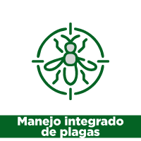 Iconos-fichas-plagas