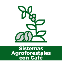 Iconos-fichas-sistema-agroforestales-cafe