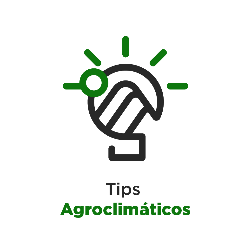 Botón- Tips-AgroClimáticos
