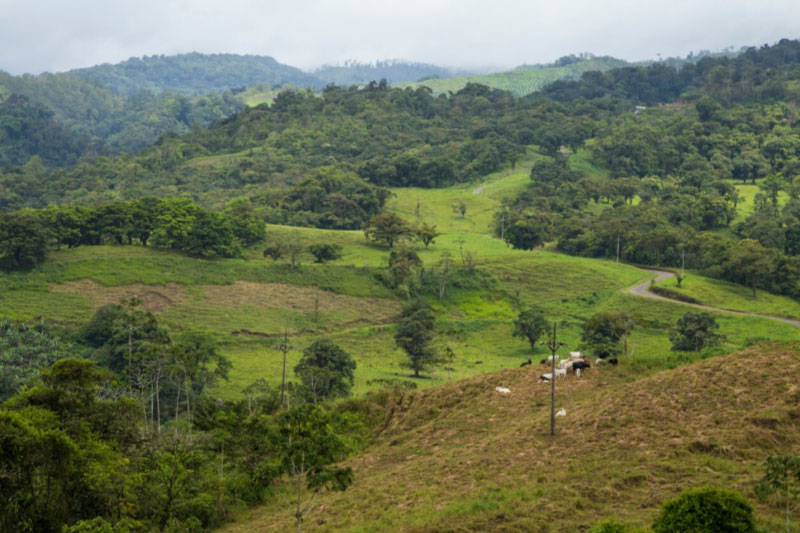 Caquetá