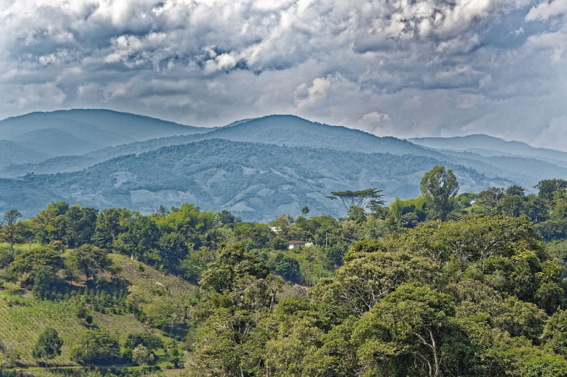 Huila