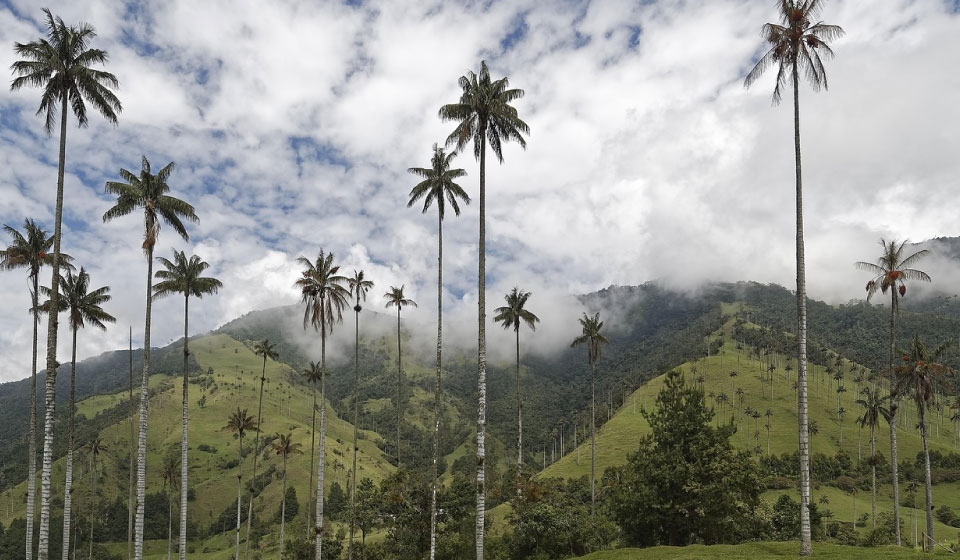 Quindio